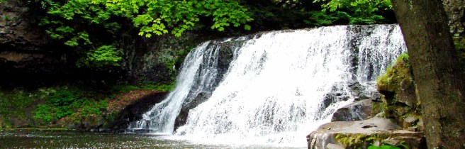 waterfall-in-the-forest